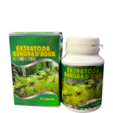 Extrato de Sangra d’Água Composto (30 Cápsulas) – Blend de Ervas com Cartilagem de Tubarão e Cálcio para Saúde Articular