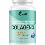 Colágeno Verisol + Cálcio Ektus 60 Cápsulas – Tecnologia Beauty From Within (Ektus)